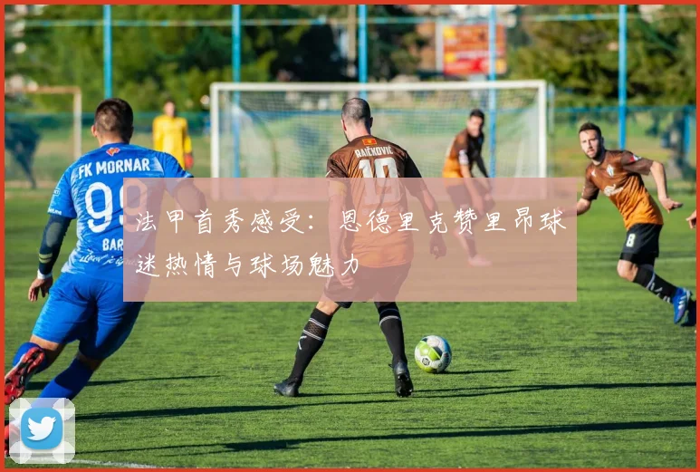 法甲首秀感受：恩德里克赞里昂球迷热情与球场魅力
